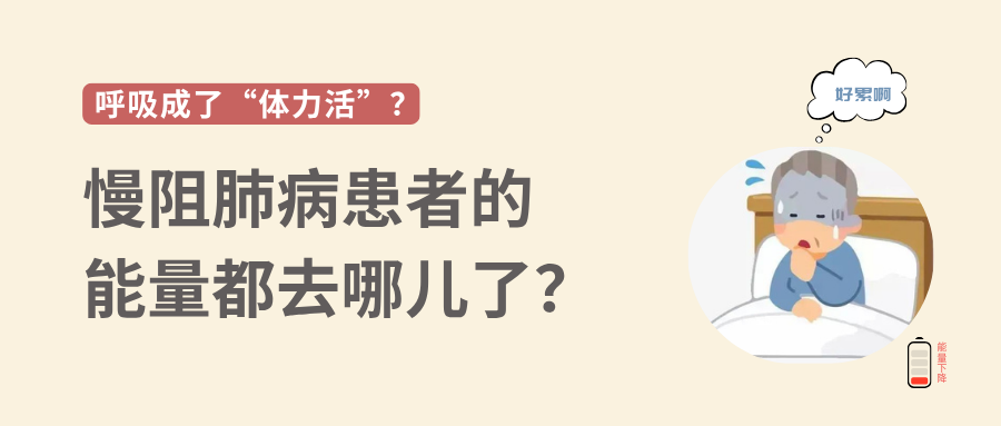 &#74;&#68;&#66;&#40;&#20013;&#22269;&#30005;&#23376;&#41;&#23448;&#26041;&#32593;&#31449;